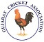 Gujarat-Cricket Team