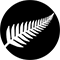 New Zealand-Cricket Team