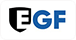 E-Gaming Federation